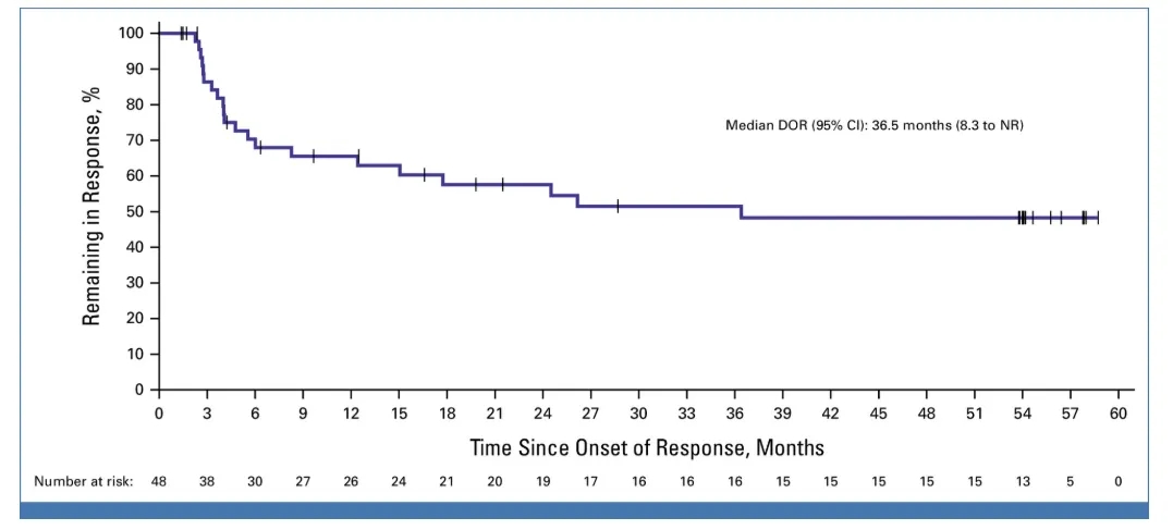 Lifileucel治疗黑色塑料的数据 Lifileucel治疗黑色塑料的数据