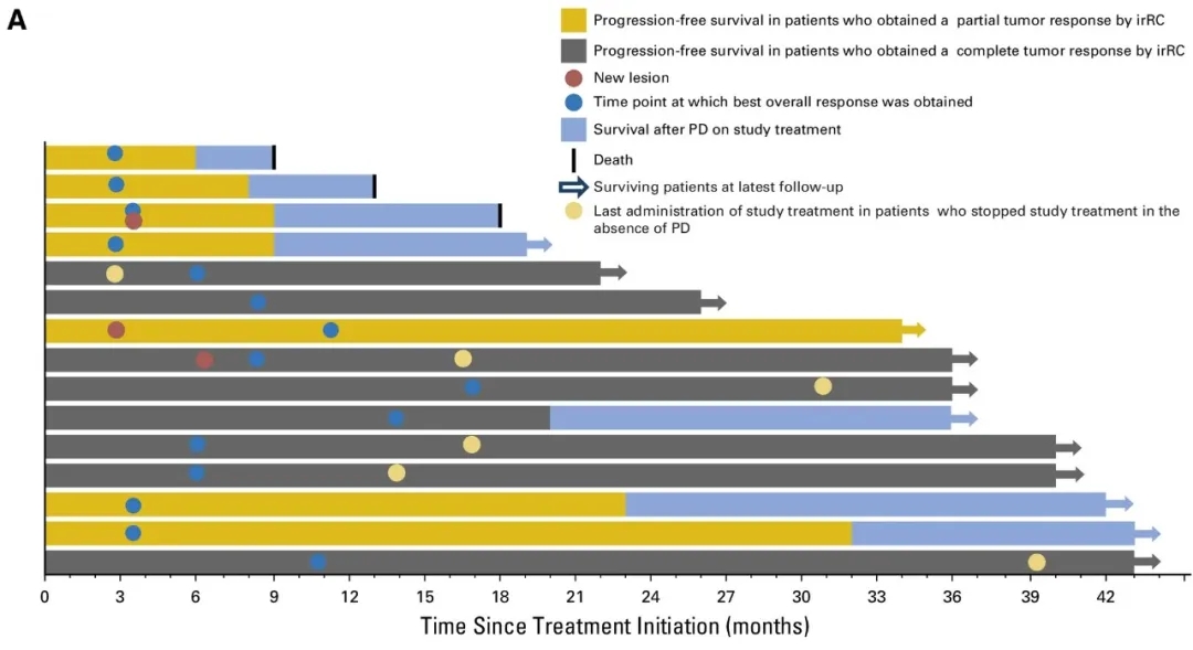 TriMixDC-MEL联合伊匹木单抗治疗黑色素瘤的数据 TriMixDC-MEL联合伊匹木单抗治疗黑色素瘤的数据
