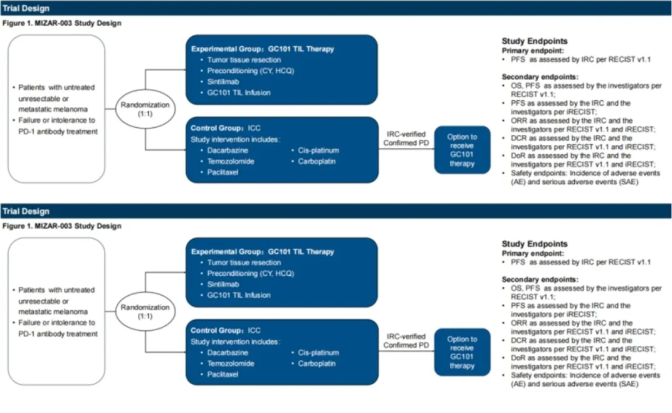 国研TIL闪耀2025 ESMO-Asia大会:胰腺癌病灶大幅缩小70%,黑色素瘤迎减负新方案