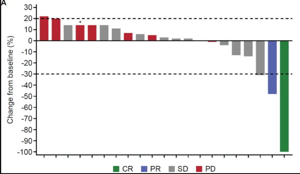 ADP-A2AFP治疗肝细胞癌的数据