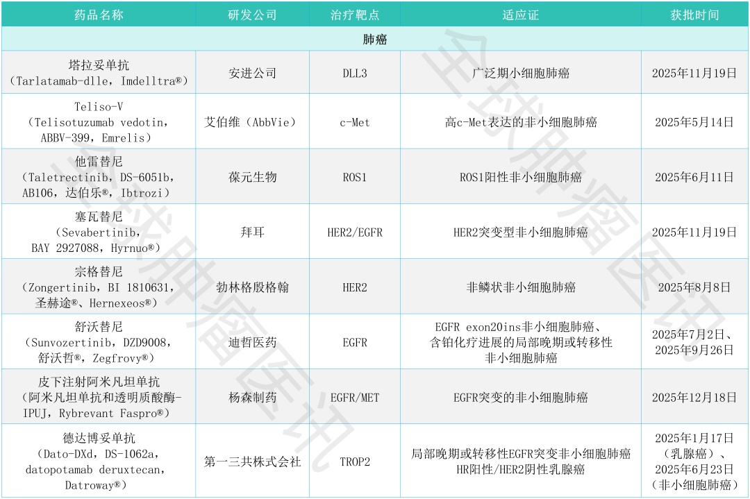 美国上市的肺癌新药