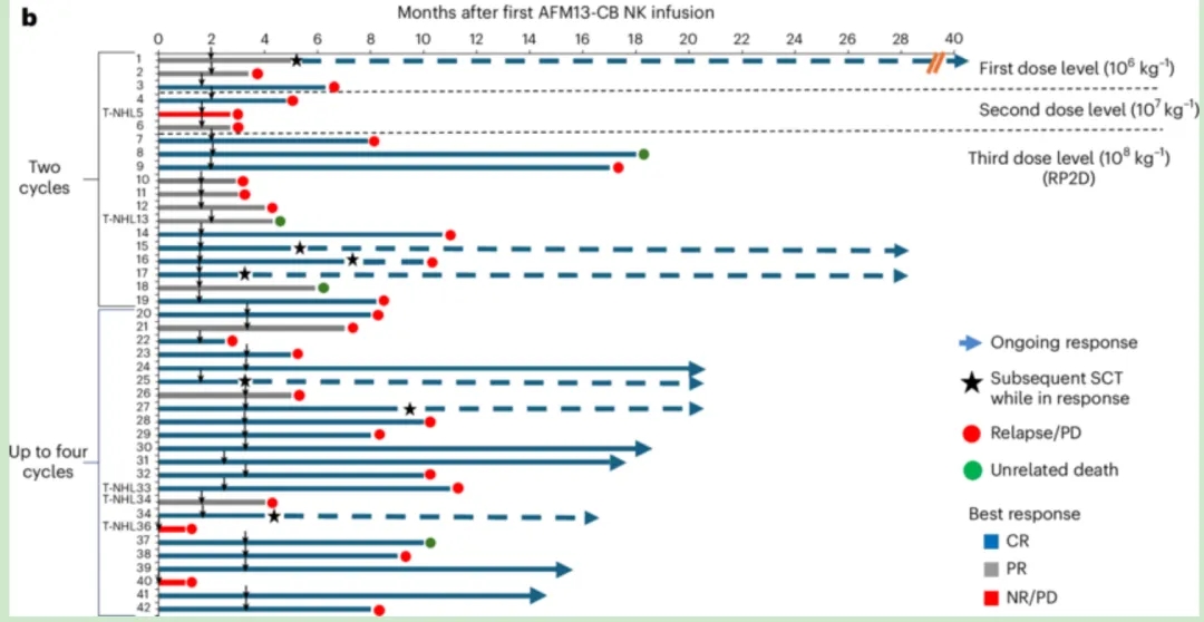 2025 NK细胞七大重磅突破!胰腺癌/肝癌/淋巴瘤等多癌种,喜提"即取即用"新