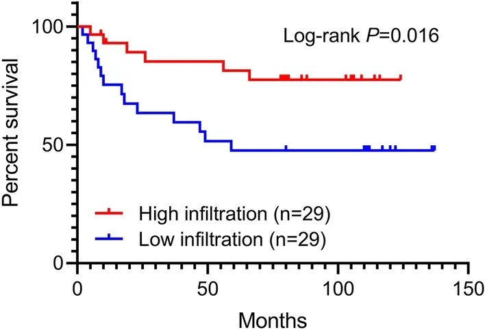 γδT细胞浸润与结直肠癌预后