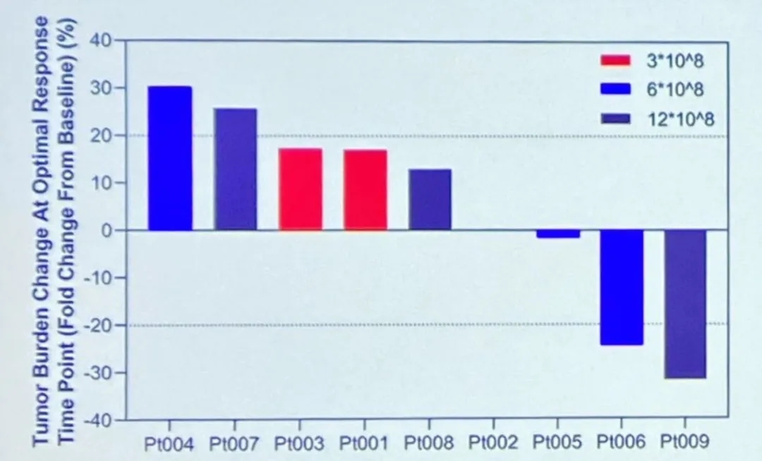 IM96 CAR-T治疗结直肠癌的数据